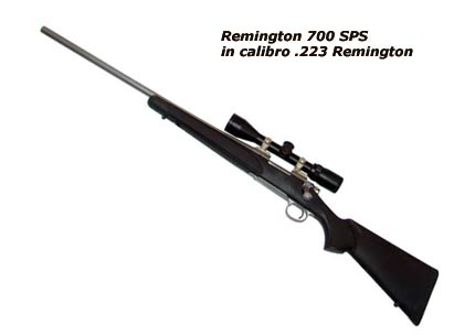 carabina per cartuccia .223 Remington