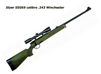 carabina per cartuccia .243 Winchester