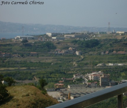 caccia falco