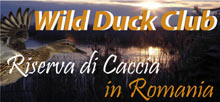WILD DUCK CLUB Caccia in Romania