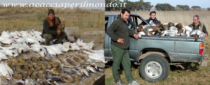 a caccia per il mondo