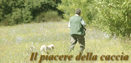 caccia venaoria montenero