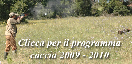 caccia