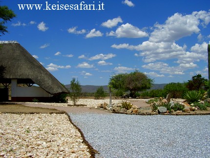 Caccia namibia Keisesafari