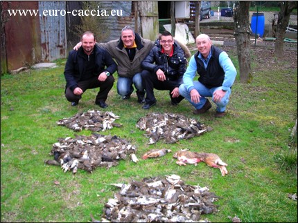 Euro caccia