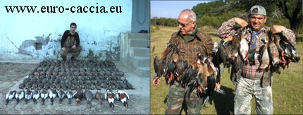 euro caccia