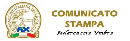fidc umbria