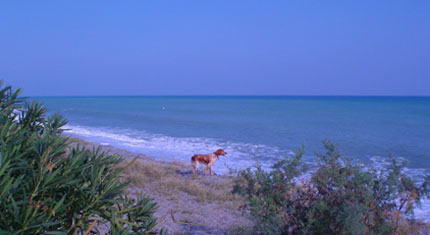 FOTO CARMELO CHIRICO