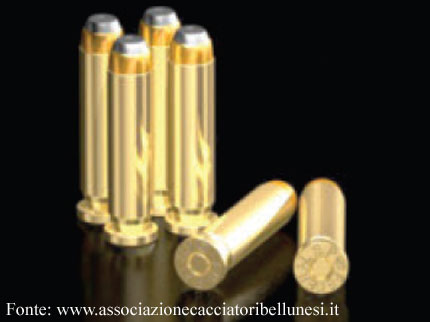 cacciatori bellunesi
