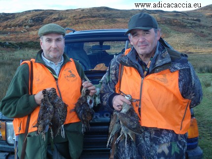 adica caccia