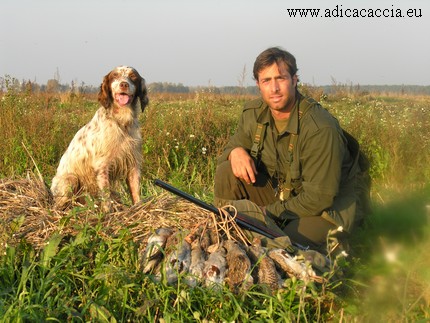 adica caccia