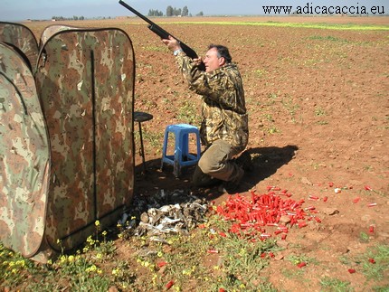 adica caccia