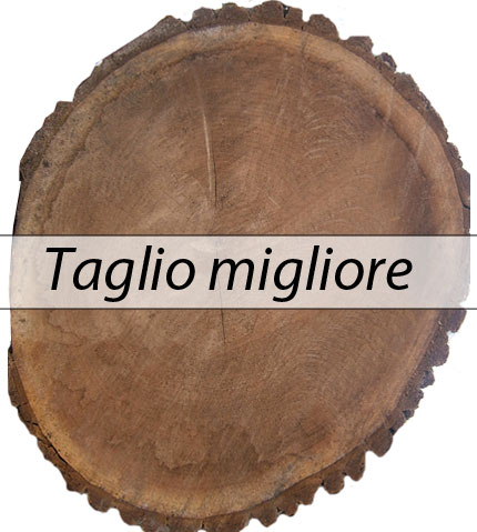 calcio del fucile da caccia fine