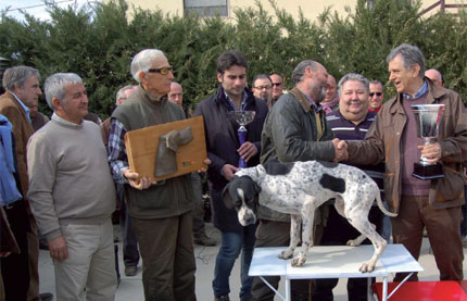 cani da caccia cinofilia enci