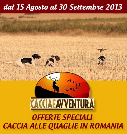 caccia romania quaglie caccia avventura
