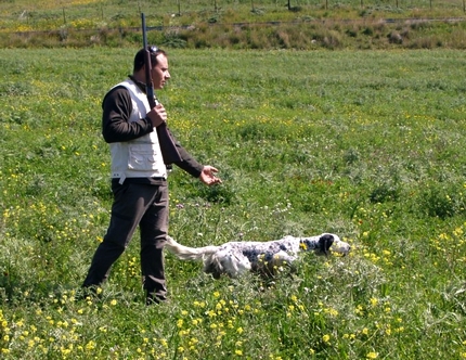 fidc messina addestrarmento cani gara su quaglie