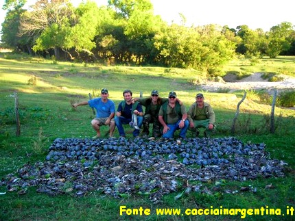 Caccia in Argentina