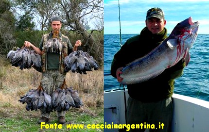 Caccia in Argentina