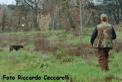 Gare Caccia