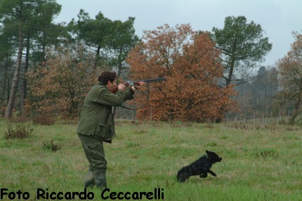Gare Caccia