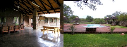 safari Africa