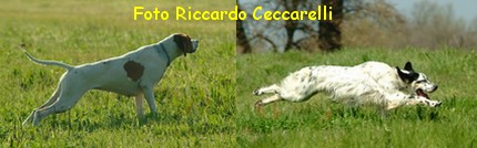 gare di caccia