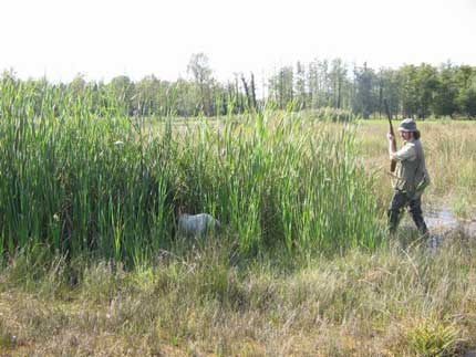 PERUGIA: CACCIA, PRE-APERTURA 1° SETTEMBRE CACCIA