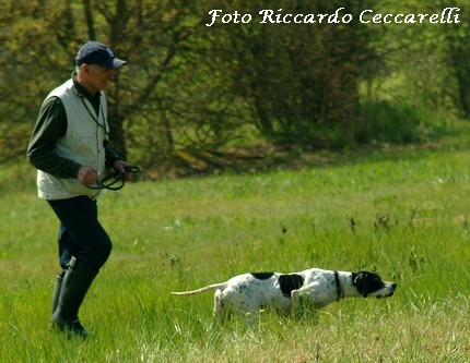 Gare Caccia