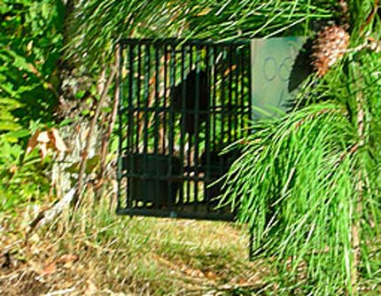 RICHIAMI VIVI: PER SALA RISPOSTA INSODDISFACENTE caccia