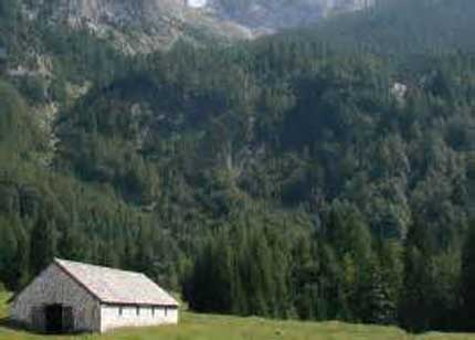 FVG: TERRITORIO, PIÙ VALORE A PARCHI E RISERVE  CACCIA