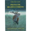 “PER PALCHI, BRAMITI E FORESTE” di Remigio Remo Venturini