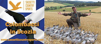 SASSETTI CACCIA SCOAZIA