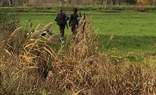 caccia abruzzo associazione venatorie calendario venatorio illegittimo risarcimento caccia abruzzo associazione venatorie calendario venatorio illegittimo risarcimento