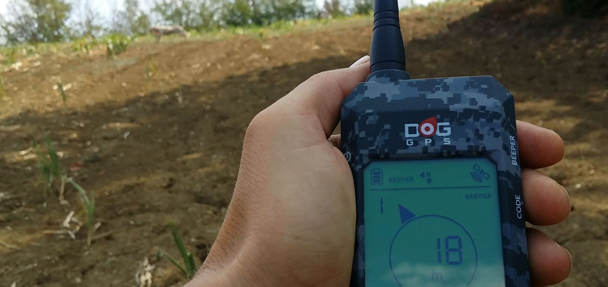 DOG TRACE GPS X20 A CACCIA CON IL CANE SOTTO CONTROLLO Caccia In Fiera