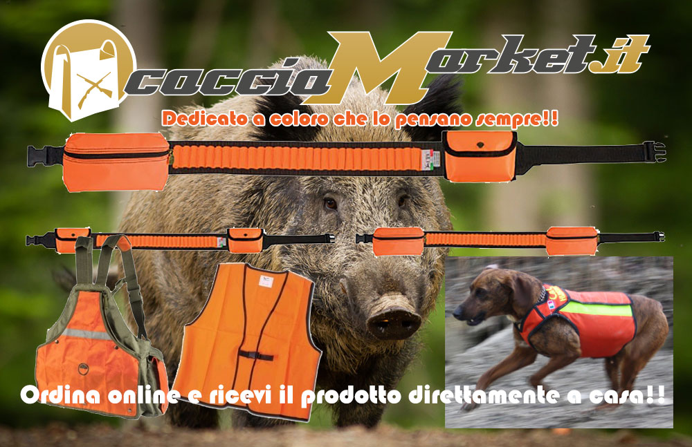 cacciamarket accessori caccia al cinghiale