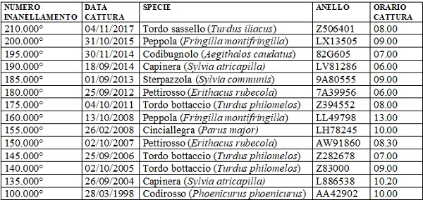 tordo sassello tordo bottaccio migrazione caccia