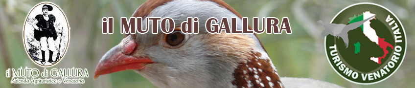 Il muto di gallura riserva di caccia turismo venatorio