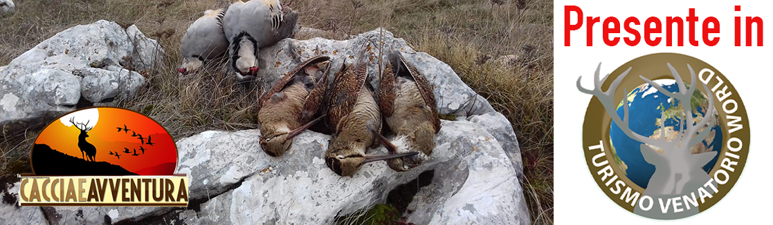 caccia e avventura grecia romania bosnia caccia oche beccaccia tordi quaglia coturnice