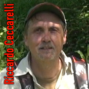 benelli black eagle semiautomatico da caccia