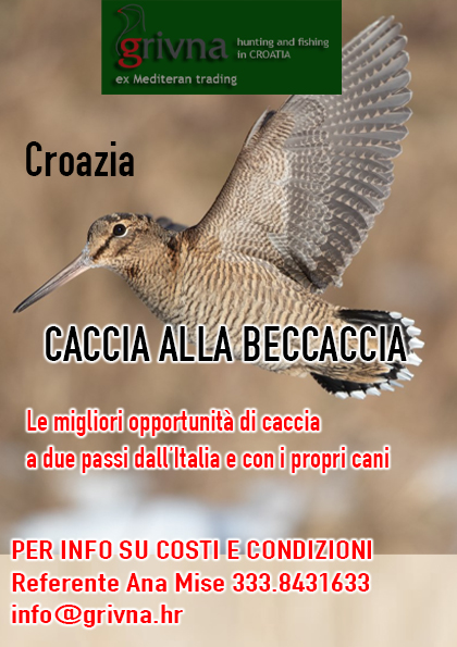 caccia alla beccaccia croazia