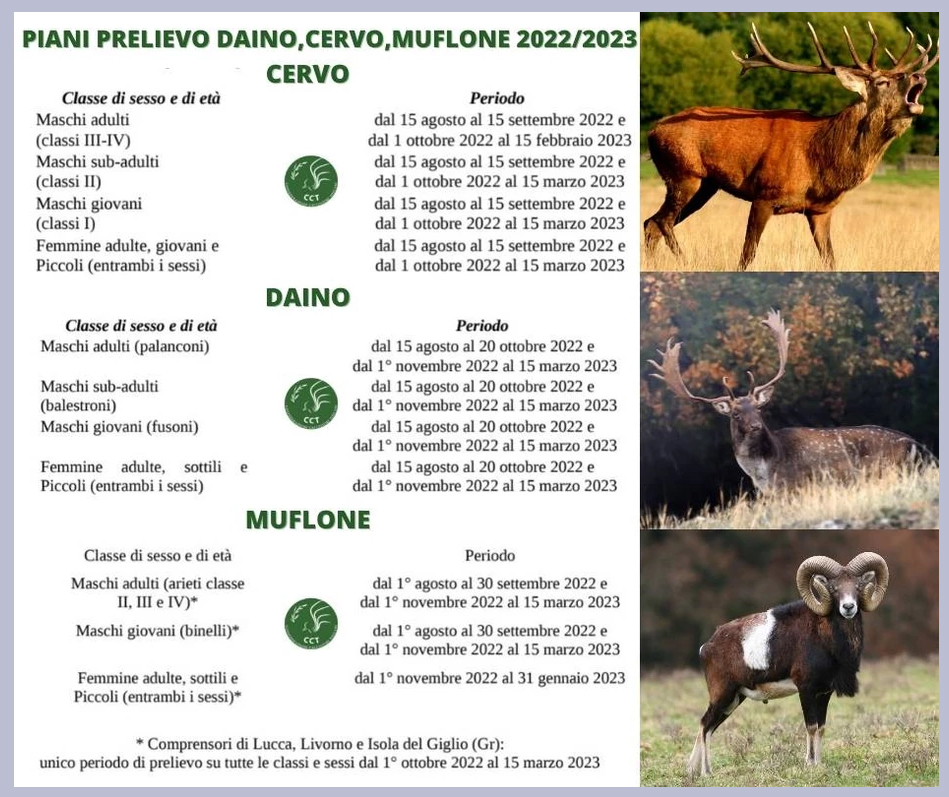 toscana caccia di selezione a daino cervo e muflone