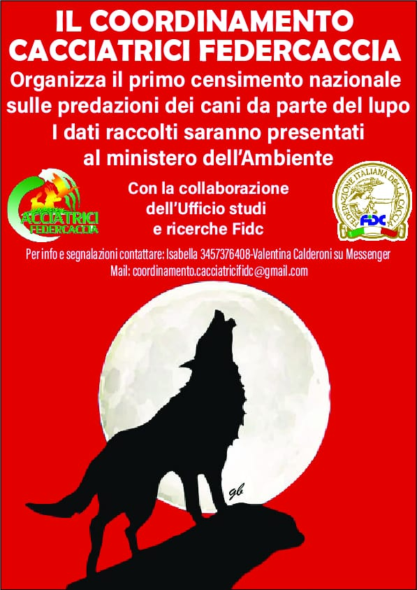 cacciatrici federcaccia lupo caccia cani