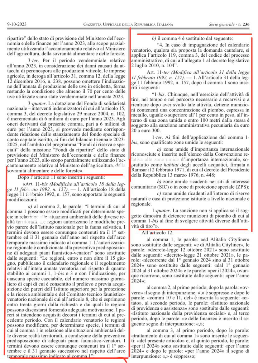 piombo zone umide