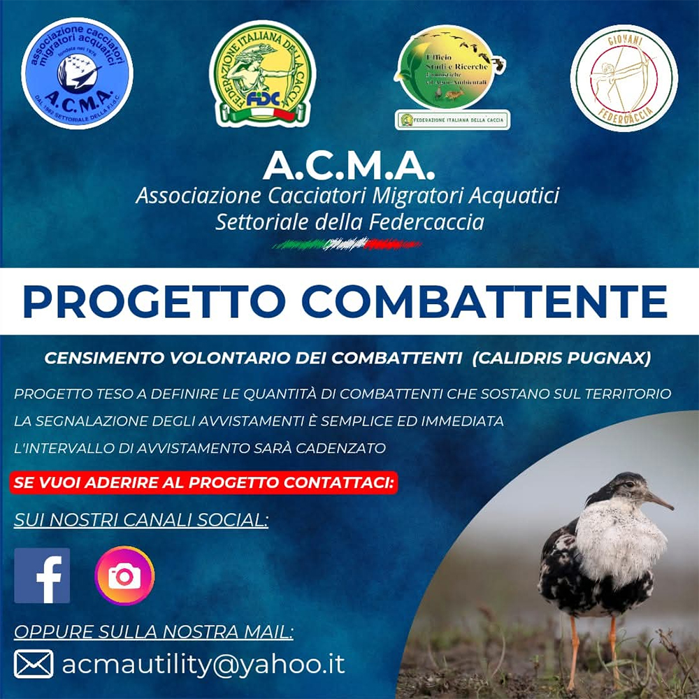 acma raccolta dati sul combattente