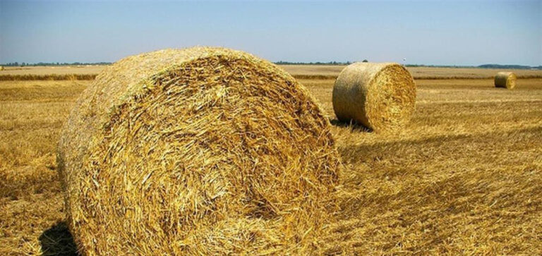 FIDC E RIFORMA PAC: OBIETTIVI AMBIENTALI SOTTO LE ASPETTATIVE