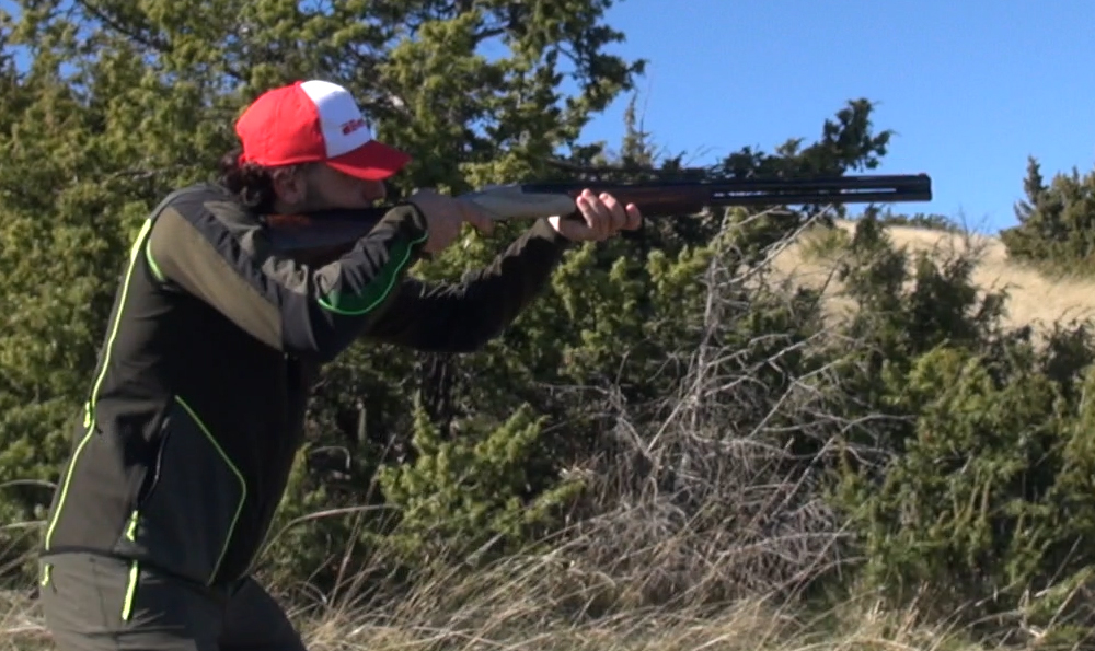 Benelli 828s silver A.I calibro 20