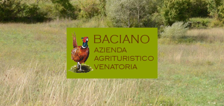 AGRITURISTICO VENATORIA BACIANO: PREPARIAMO IL CANE DA CACCIA