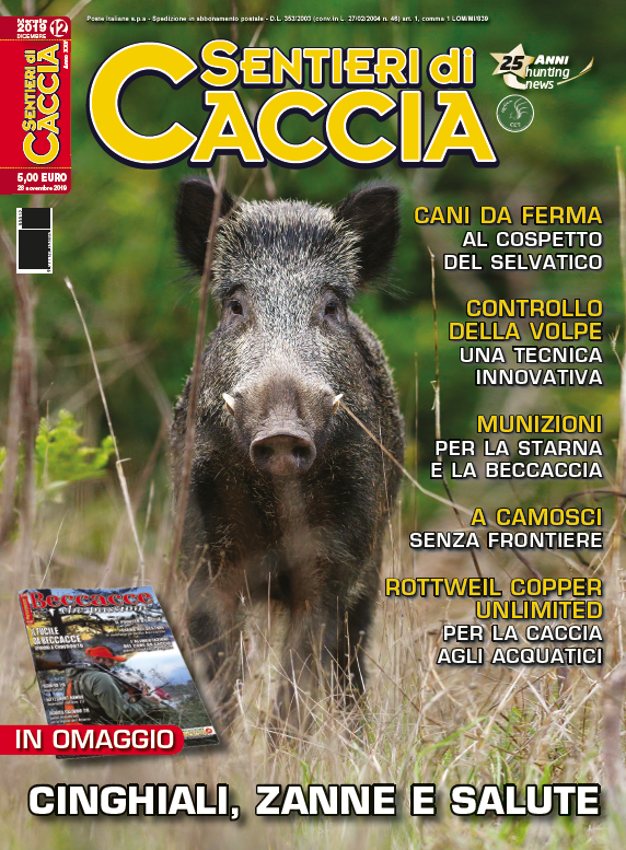 trilhas de caça nas bancas de jornal