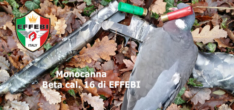 COLOMBACCI, CACCIA ALL’EDERA: IL MONOCANNA SI ESALTA