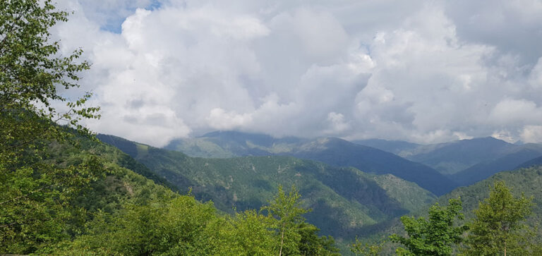 FEDERCACCIA PIEMONTE DA BATTAGLIA